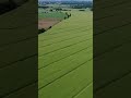 Majowe łany [wiosna 2024]
