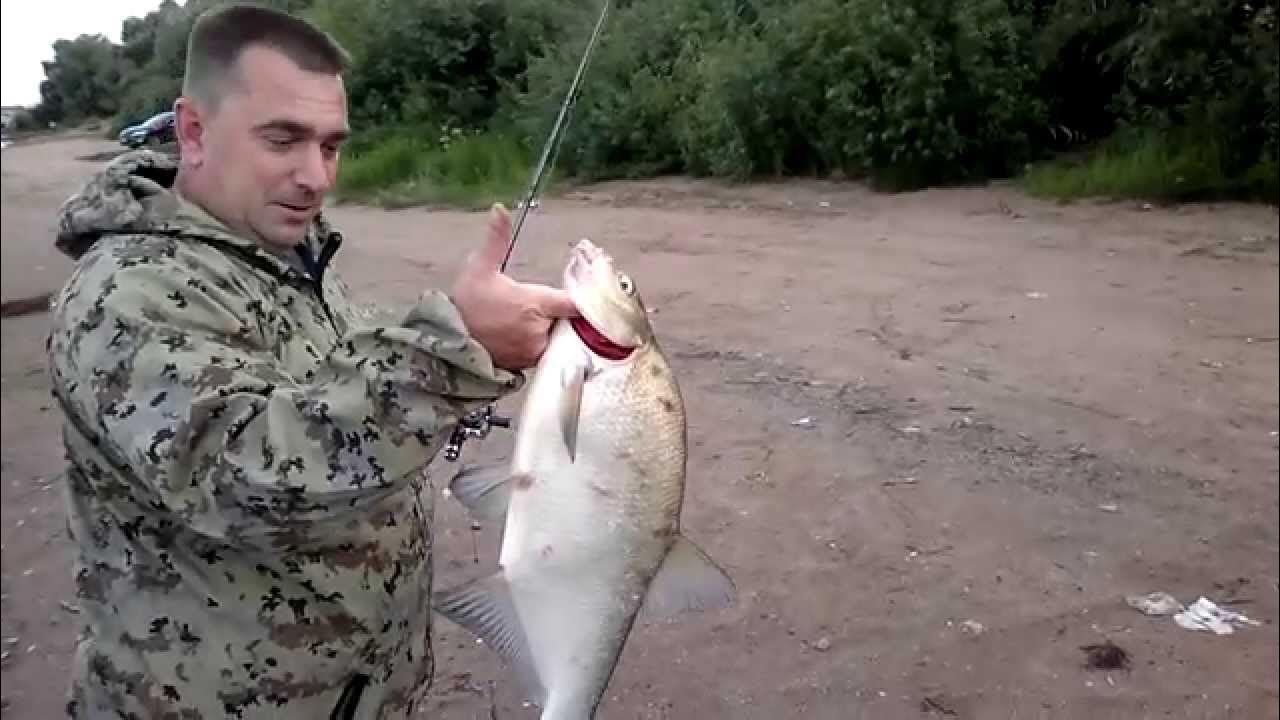 На что ловить на реке волхов