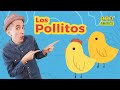 Los Pollitos - Canción para niños 123 Andrés - rondas infantiles