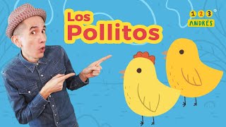 Los Pollitos - Canción para niños 123 Andrés - rondas infantiles