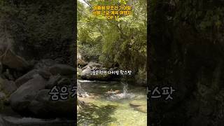 여름에 무조건 가야할 서울 근교 계곡 여행지 TOP 17   #여행 #여행지추천 #계곡 #서울근교 #여름