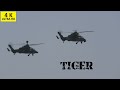 4k 2x kampfhubschrauber tiger bundeswehr  aviation lgre de larme de terre alat display tigre