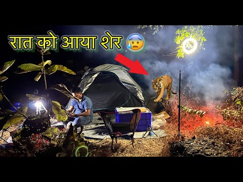 Camping in Deep Forest | 4 Din Pehle Gav me  Mila Sher Tiger 🐅