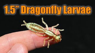 Dragonfly Larvae 1.5' - Great Micro Finesse, Ultralight and BFS Fishing Bait by MoondogBaitCo 562 views 8 months ago 5 minutes, 24 seconds