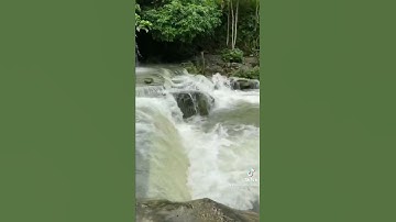 Hang mỏ mắm Thái nguyên