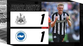Newcastle vs Brighton 1-1 Highlights | Premier League - 2023/2024