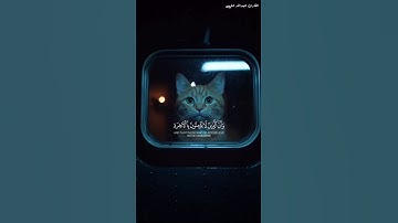 اخفض صوت العالم 🤍 وارفع صوت القرآن ❤️🌿 قرآن كريم بصوت جميل يريح القلب القارئ عبدالله علي #short