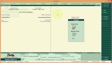 Groups in Tally.ERP 9
