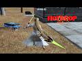 New Crazy Hotdrop 25 Kills Full Intense CODM BR Gameplay 