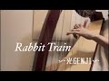 【光GENJI】の【Rabbit Train】をハープで弾いてみた