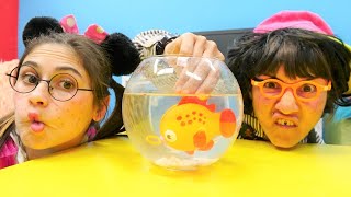 Okutay ve Cicisu ile komik videolar - Japon balığı Şıpıdak geliyor! Kız erkek oyunları Resimi