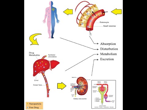 Vídeo: Terapias Quiméricas Del Receptor De Antígeno De Células T Para El Mieloma Múltiple