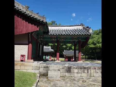 태종 이방원 <strong>계비</strong> 신덕왕후 능에 서다