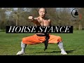 Kung Fu Horse Stance - Internal and External