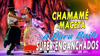 CHAMAME A PURO BAILE | 