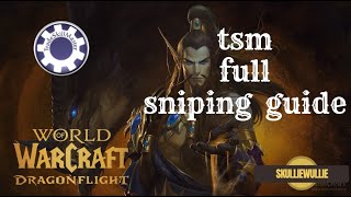 TSM SNIPER setup(TradeSkillMaster  beginner guide) 2024 wow dragonflight