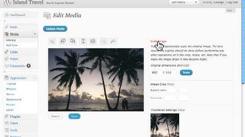 The Image Editor in Wordpress - Wordpress Tutorials
