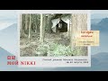 日記 мой Nikki. Дневник учителя. Путешествие в Японию.