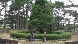 THe beSt oF LAM BAO PHI -2