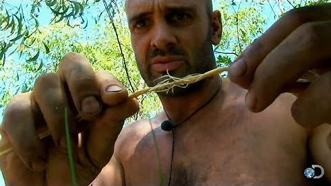 Using Tree Bark Rope to Create Fire | Marooned