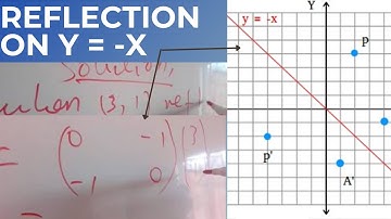Reflection of a Point on y = -x | Matrices and Transformation