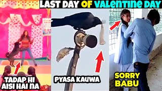 Last Day Of Valentine Day || Nibba Nibbi Valentine Day Special Video ||