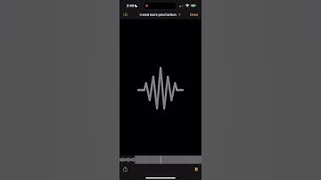 sgpwes - i need more - snippet #music #sgpwesluna #trending #sgpwes #viral #explore #shorts #tiktok