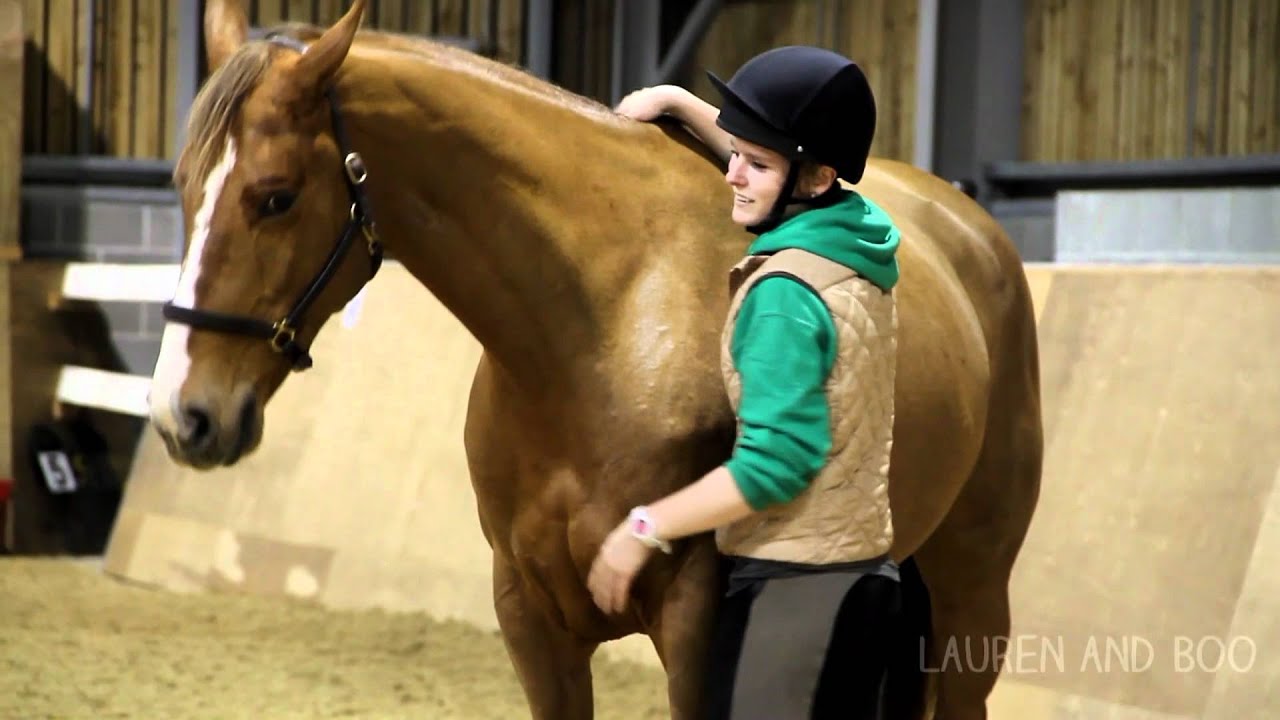 Trick Training My Horse! YouTube