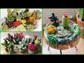 Amigurumi succulent ideas for every home with children/crochet cactus/yarn handmade plants