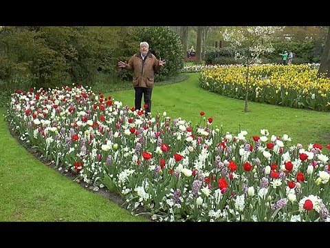 Vidéo: Cultiver des orchidées de jardin : variétés d'orchidées pour les jardins de la zone 9