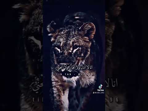 لا والذي جعل الكرامة في دمي