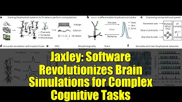 Jaxley: Software Revolutionizes Brain Simulations for Complex Cognitive Tasks