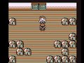Pokémon Red++ - Elite Four 2 Bruno (Fighting)