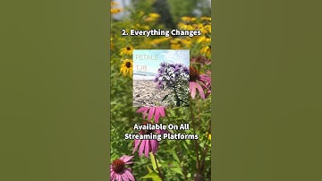 Everything changes breakdown, full video is on my channel! #beats #beatbreakdown #mpc #newmusic #rap