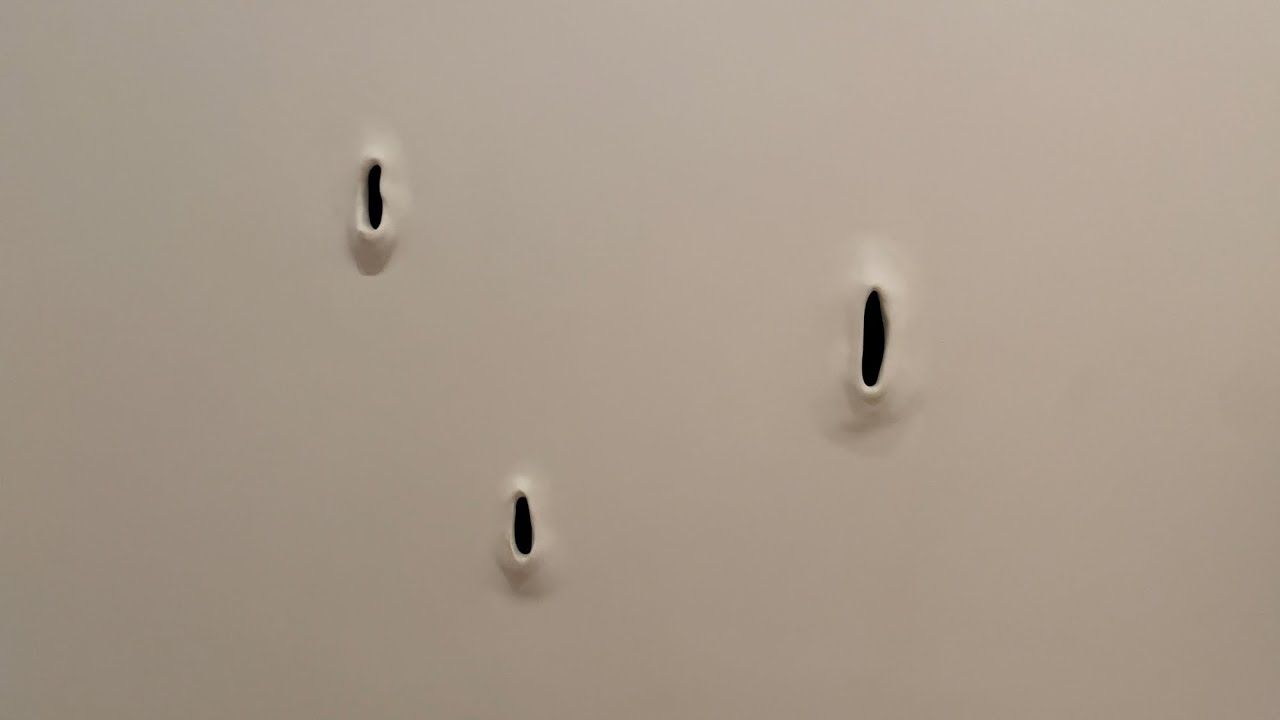 Jes Fan : Gut, 2023 | Whitney Museum