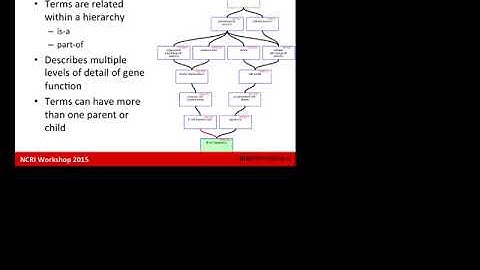 Pathway and Network Analysis