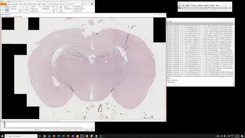 How to stitch tiled brightfield images acquired on the IX81
