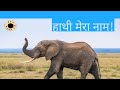 गर्जन के माध्यम से हाथी के नाम #scibagels