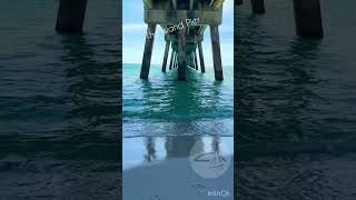 The Island Pier on Okaloosa Island in Fort Walton Beach #okaloosaisland