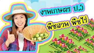 วิชาการงานอาชีพ : งานเกษตร ป.5 EP.1 พืชสวน พืชไร่