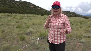 Poly Wire Electric Fence For Adaptive Livestock Grazing