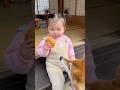 半分ちょうだいは笑えるwww #ai #shorts #犬