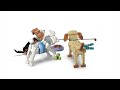 Video: LEGO® 31137 CREATOR Burvīgie suņi