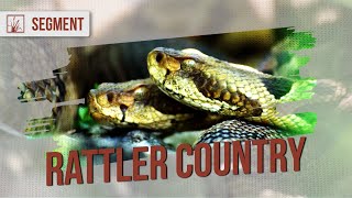 Timber RATTLESNAKES in Minnesota's Bluff Prairies