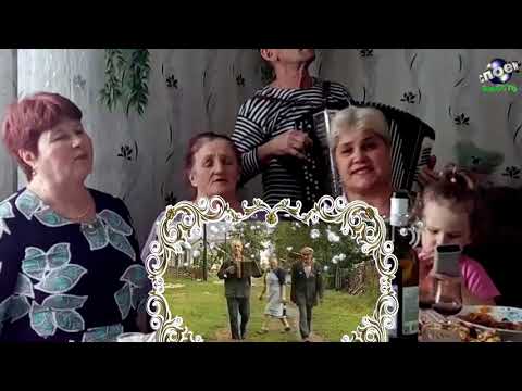 одуванчик ты мой одуванчик