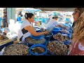 Meeting "Las Changeras" in Mazatlan - The Mexican Seafood Queens 🇲🇽
