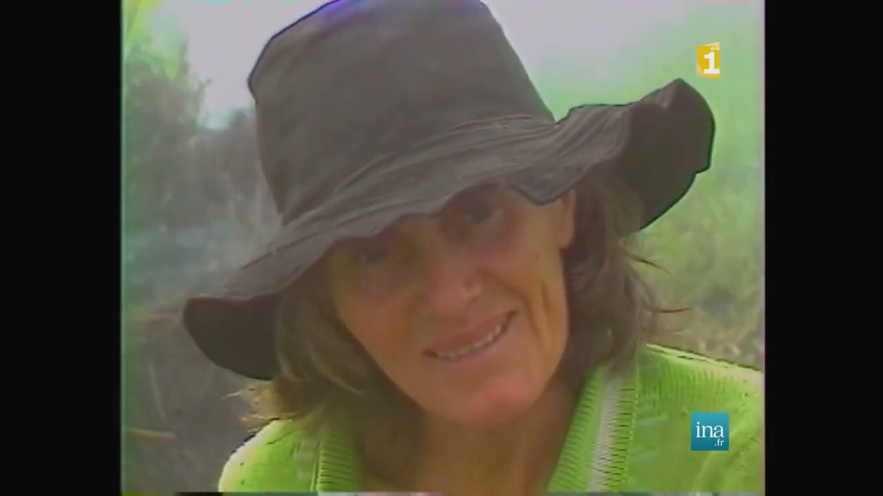 Grand Coude à Saint Joseph (1987) - Archives Réunion 1ère