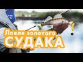 Ловля золотого судака. Узбекистан / Catching golden zander. Uzbekistan