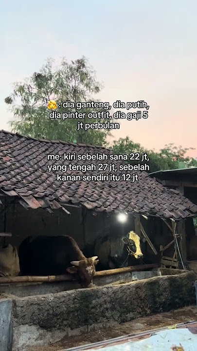 Peh Nyeni puol #fypyoutube #fypシ゚viral #sapijumbo #setiafarm #irfanhakim