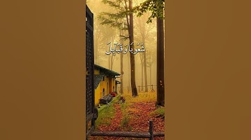 سورة الحجرات _ رعد الكردي